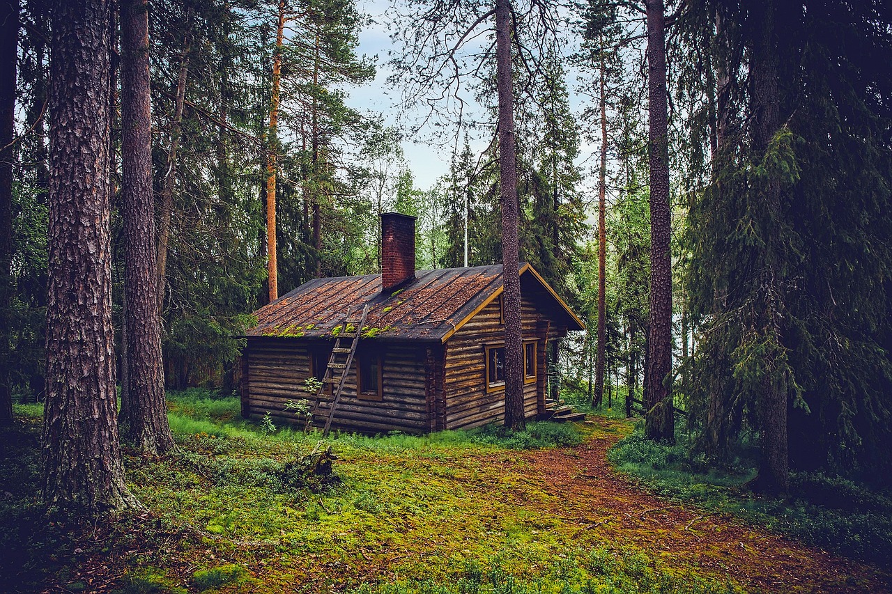wooden cabin in the forest