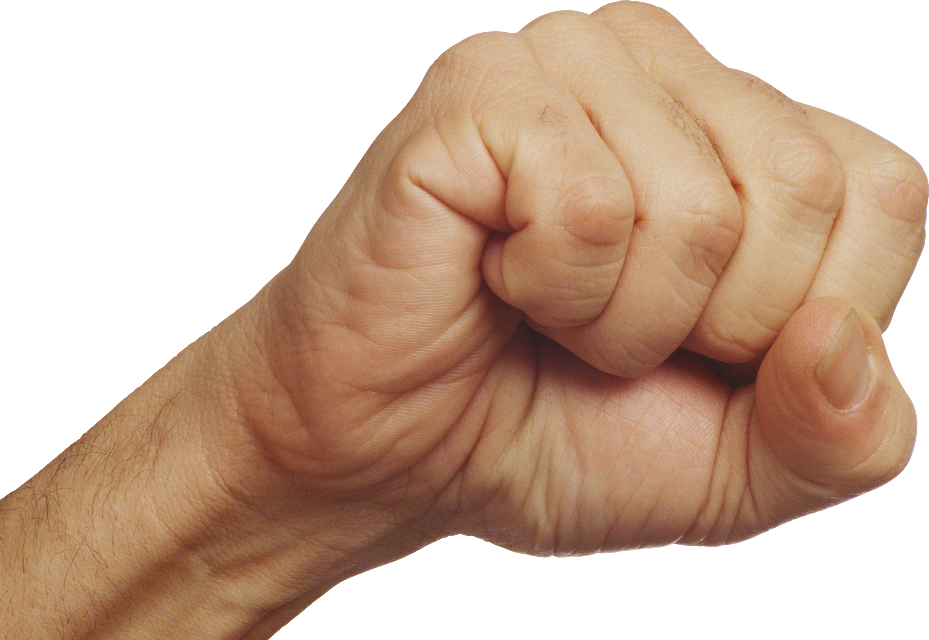 Fist