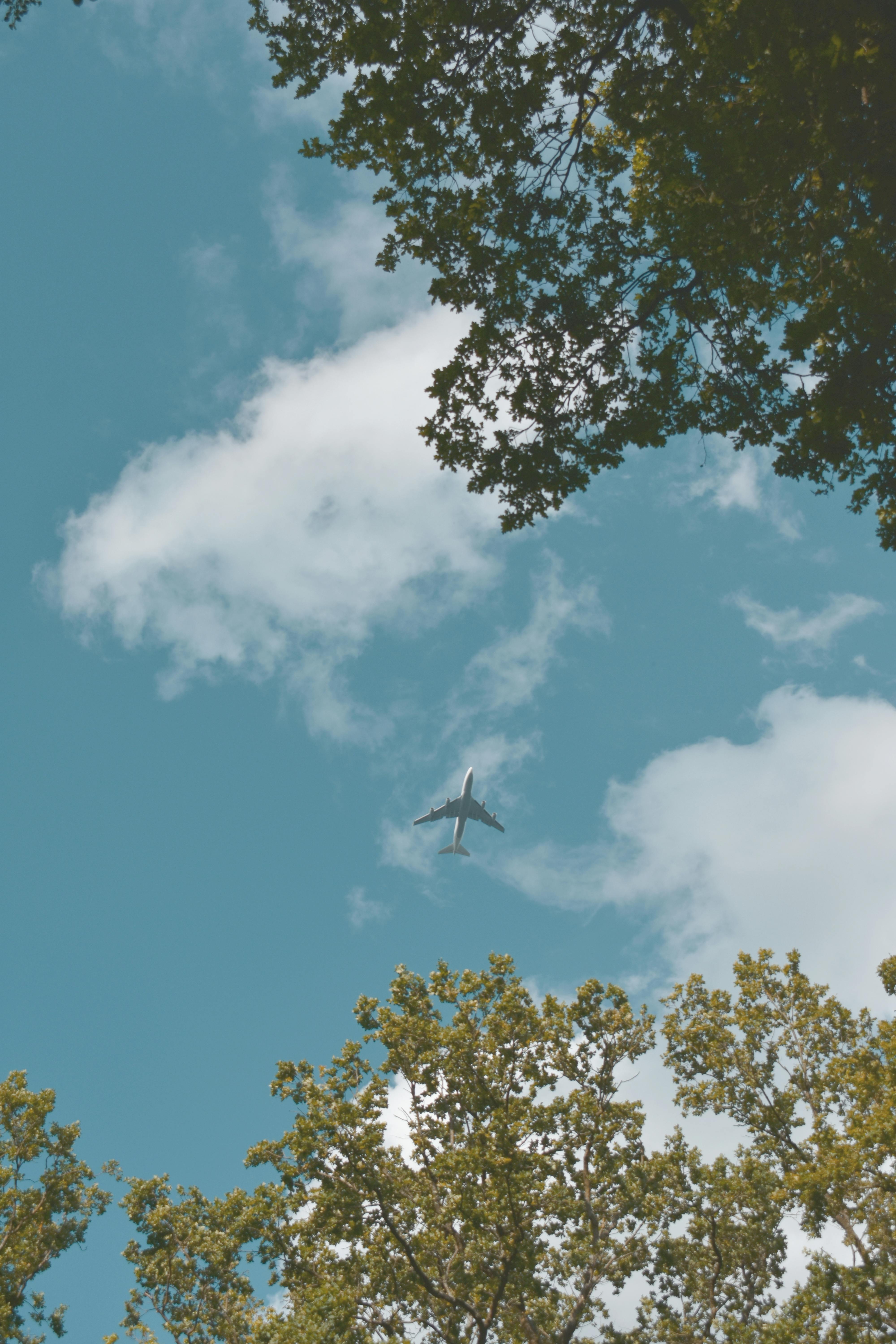 MidAir Airlines Plane